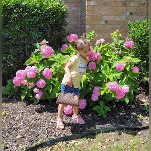 Louis Vuitton Mini Ribera in Damier Ebene